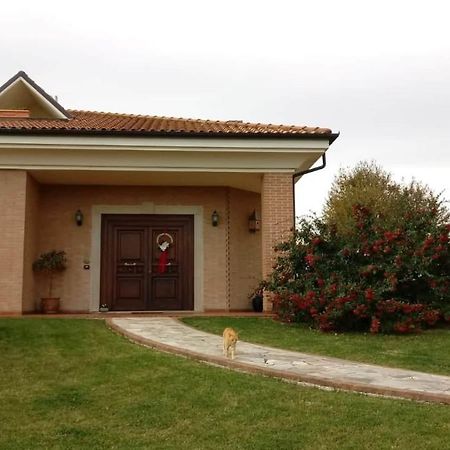 B&B Mikigio Mondavio Dış mekan fotoğraf