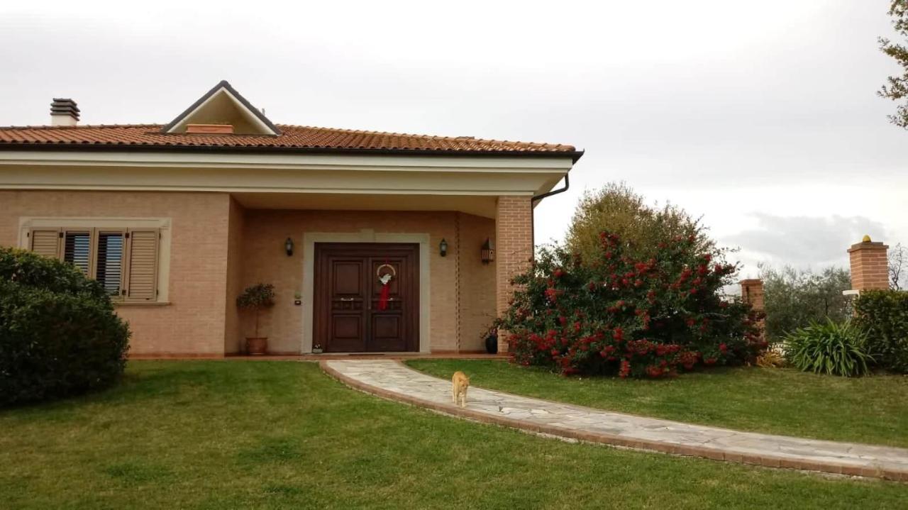 B&B Mikigio Mondavio Dış mekan fotoğraf