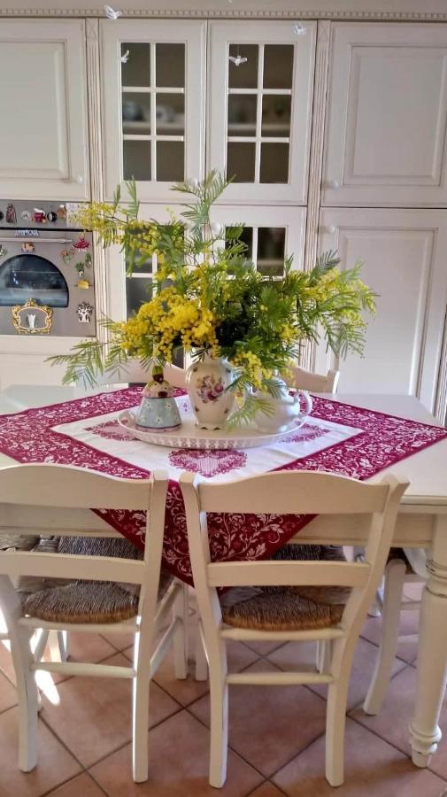 B&B Mikigio Mondavio Dış mekan fotoğraf