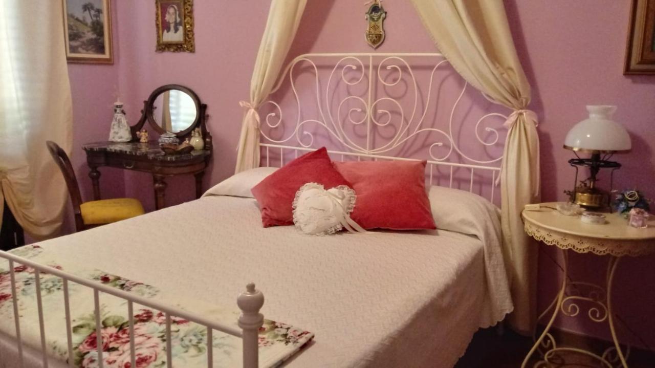 B&B Mikigio Mondavio Dış mekan fotoğraf