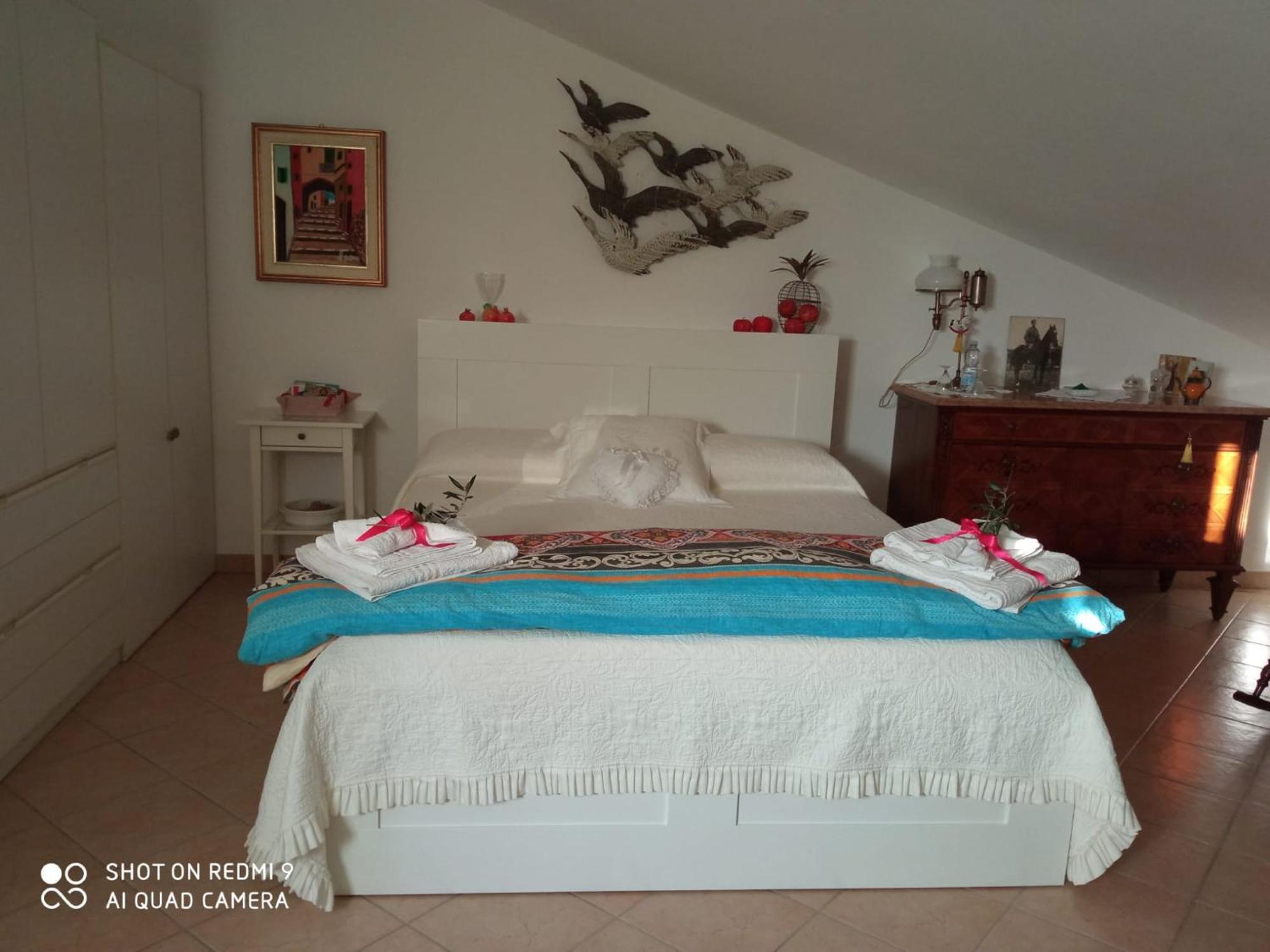 B&B Mikigio Mondavio Dış mekan fotoğraf